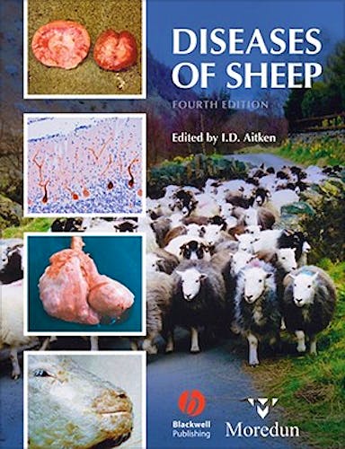 Portada del libro 9781405134149 Diseases of Sheep