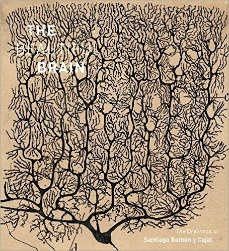Portada del libro 9781419722271 The Beautiful Brain. The Drawings of Santiago Ramón y Cajal