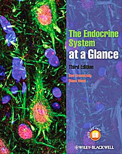 Portada del libro 9781444332155 The Endocrine System at a Glance