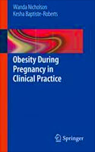 Portada del libro 9781447128304 Obesity during Pregnancy in Clinical Practice