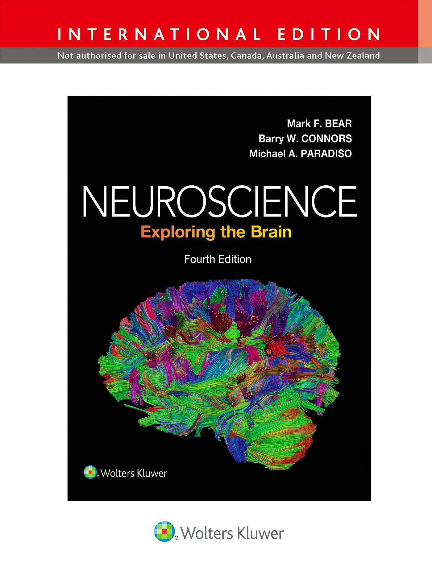 Neuroscience Exploring The Brain