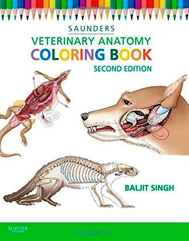 Saunders Veterinary Anatomy Coloring Book: 9781455776849: Singh, B
