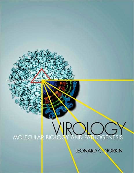 Portada del libro 9781555814533 Virology. Molecular Biology and Pathogenesis
