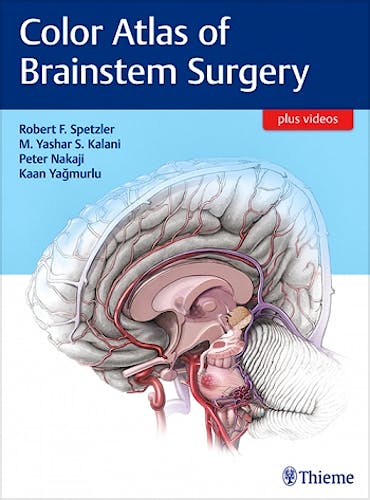 Portada del libro 9781626230279 Color Atlas of Brainstem Surgery + Videos Online