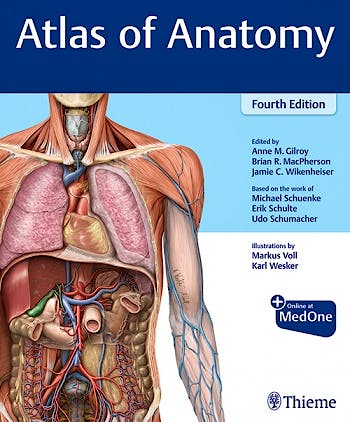 Portada del libro 9781684202034 Atlas of Anatomy