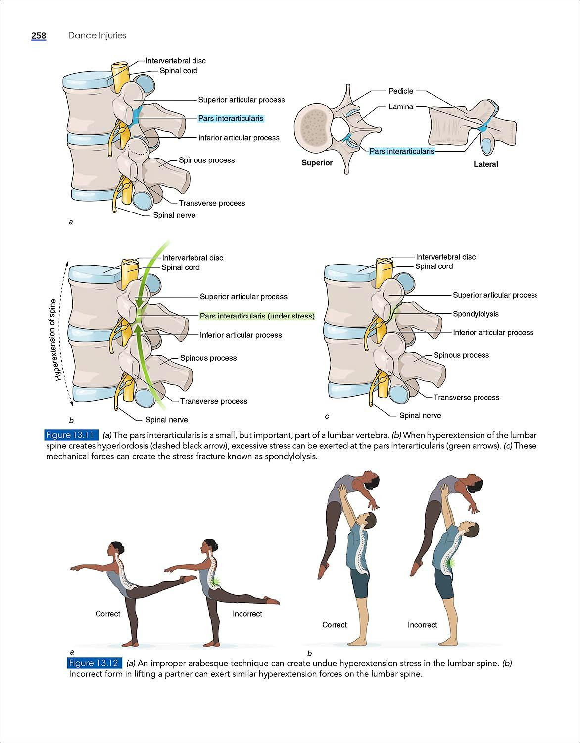 Portada del libro 9781718211865 Dance Injuries With HK Propel Access