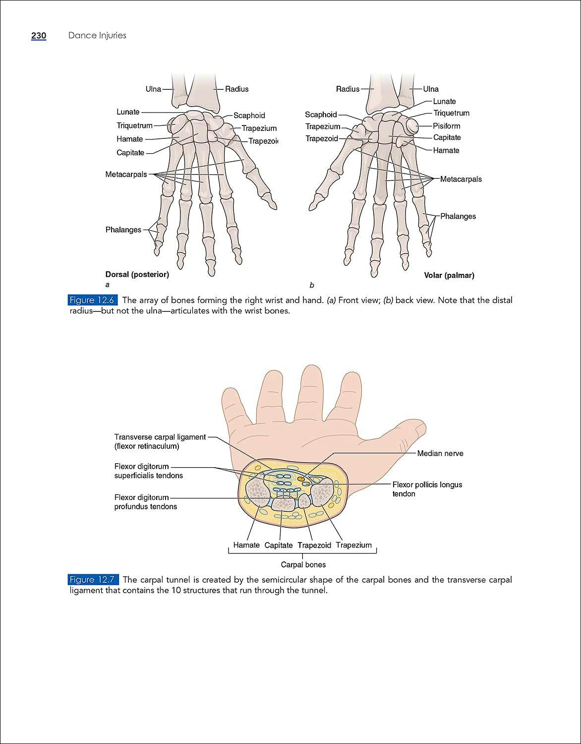 Portada del libro 9781718211865 Dance Injuries With HK Propel Access