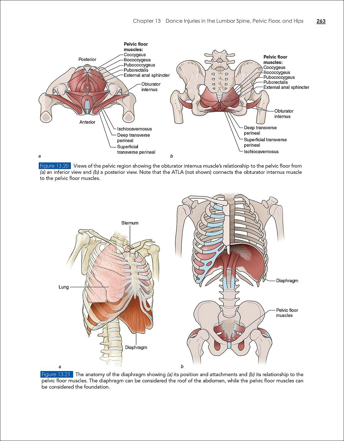 Portada del libro 9781718211865 Dance Injuries With HK Propel Access