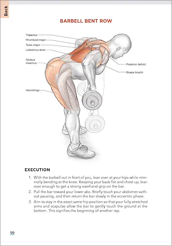 Portada del libro 9781718225985 Bodybuilding Anatomy