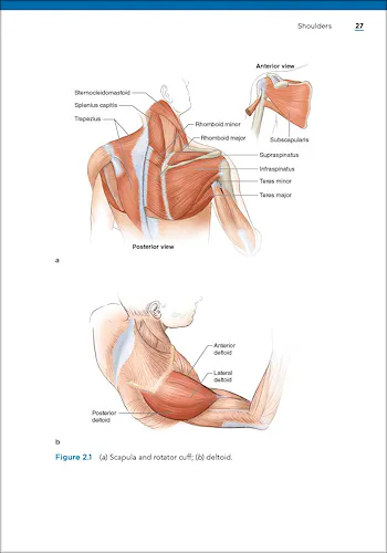 Portada del libro 9781718225985 Bodybuilding Anatomy