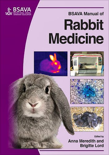 Portada del libro 9781905319497 Bsava Manual of Rabbit Medicine