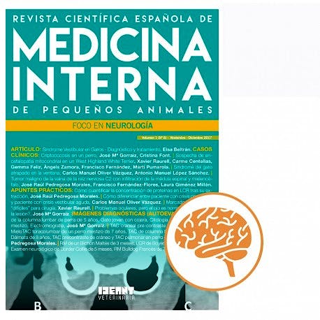 Portada del libro 9782919801909 Revista Científica Española de Medicina Interna de Pequeños Animales. Foco en Neurología (Vol. 1, Nº 6, Noviembre-Diciembre 2017)