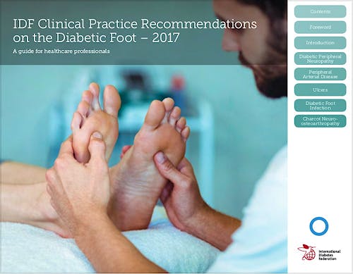 Portada del libro 9782930229409 Diabetes and Foot Care: Time to Act