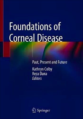 Portada del libro 9783030253349 Foundations of Corneal Disease. Past, Present and Future