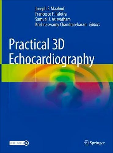 Practical 3D Echocardiography