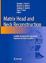 Matrix Head and Neck Reconstruction. Scalable Reconstructive Approaches Organized by Defect Location