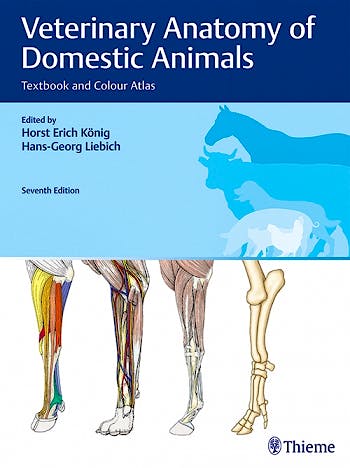 Portada del libro 9783132429338 Veterinary Anatomy of Domestic Animals. Textbook and Colour Atlas