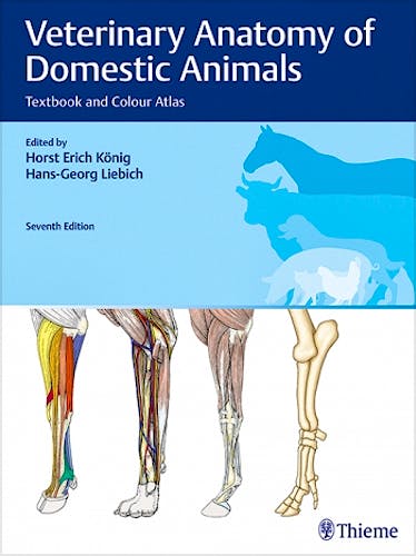 Portada del libro 9783132429338 Veterinary Anatomy of Domestic Animals. Textbook and Colour Atlas