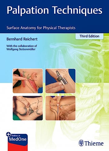 Portada del libro 9783132429871 Palpation Techniques. Surface Anatomy for Physical Therapists