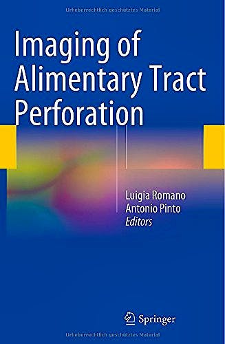 Portada del libro 9783319081915 Imaging of Alimentary Tract Perforation