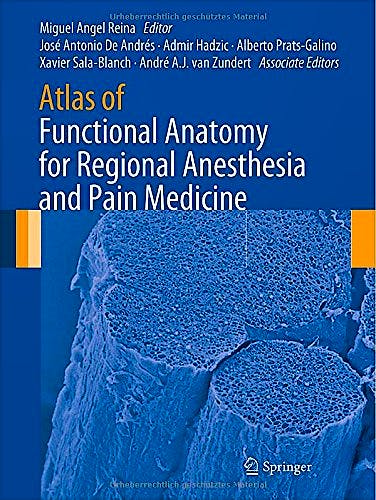 Portada del libro 9783319095219 Atlas of Functional Anatomy for Regional Anesthesia and Pain Medicine. Human Structure, Ultrastructure and 3D Reconstruction Images (Hardcover)