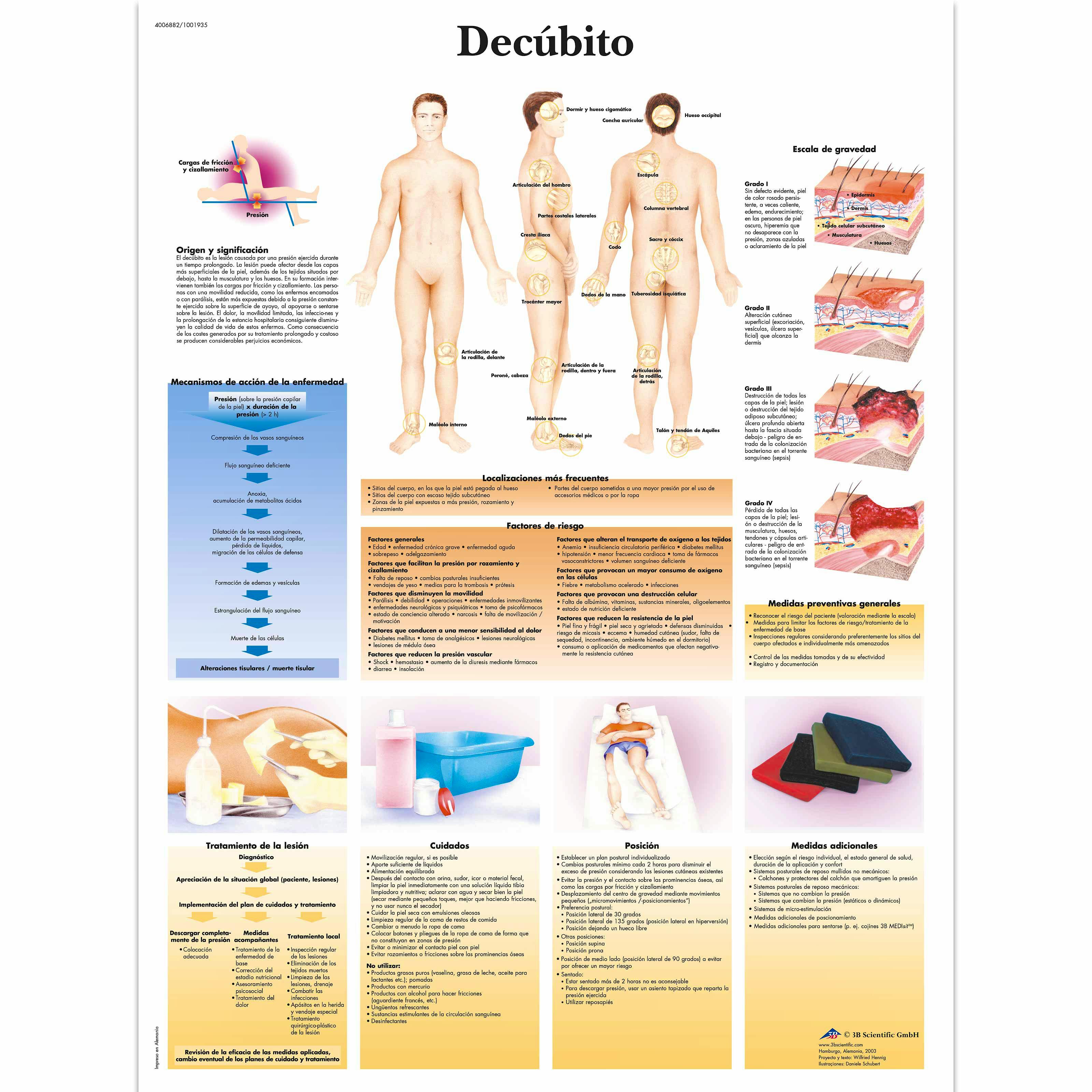 Lamina Decubito (formato 50 x 67 cm)