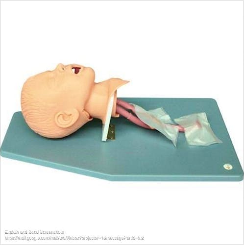 Cabeza para Intubación en Infantes