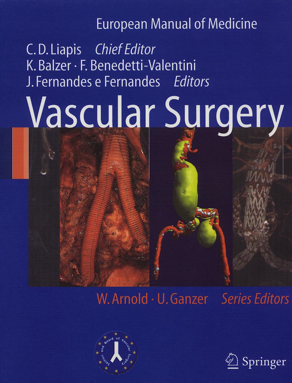 Portada del libro 9783540309550 Vascular Surgery