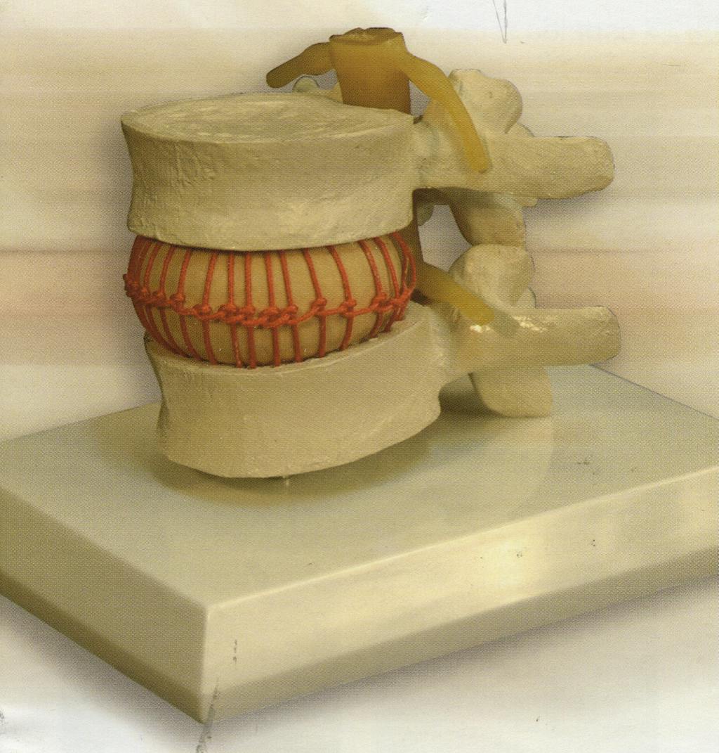 Simulador Vertebral