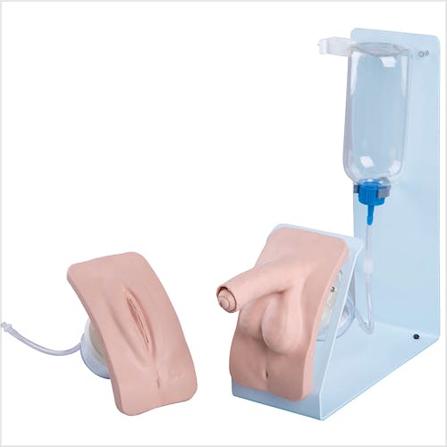 Set de Simulador de Cateterismo Basic