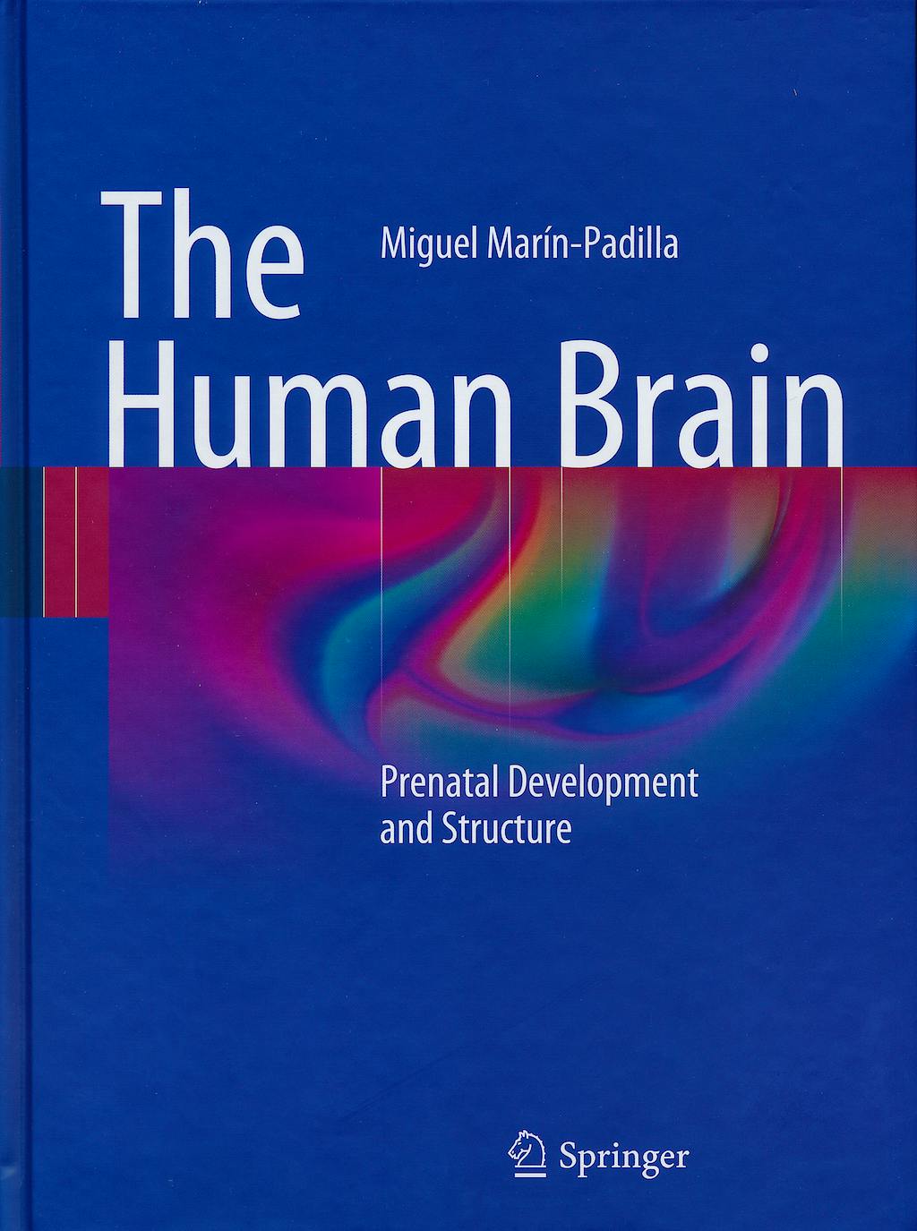 Portada del libro 9783642147234 The Human Brain. Prenatal Development and Structure