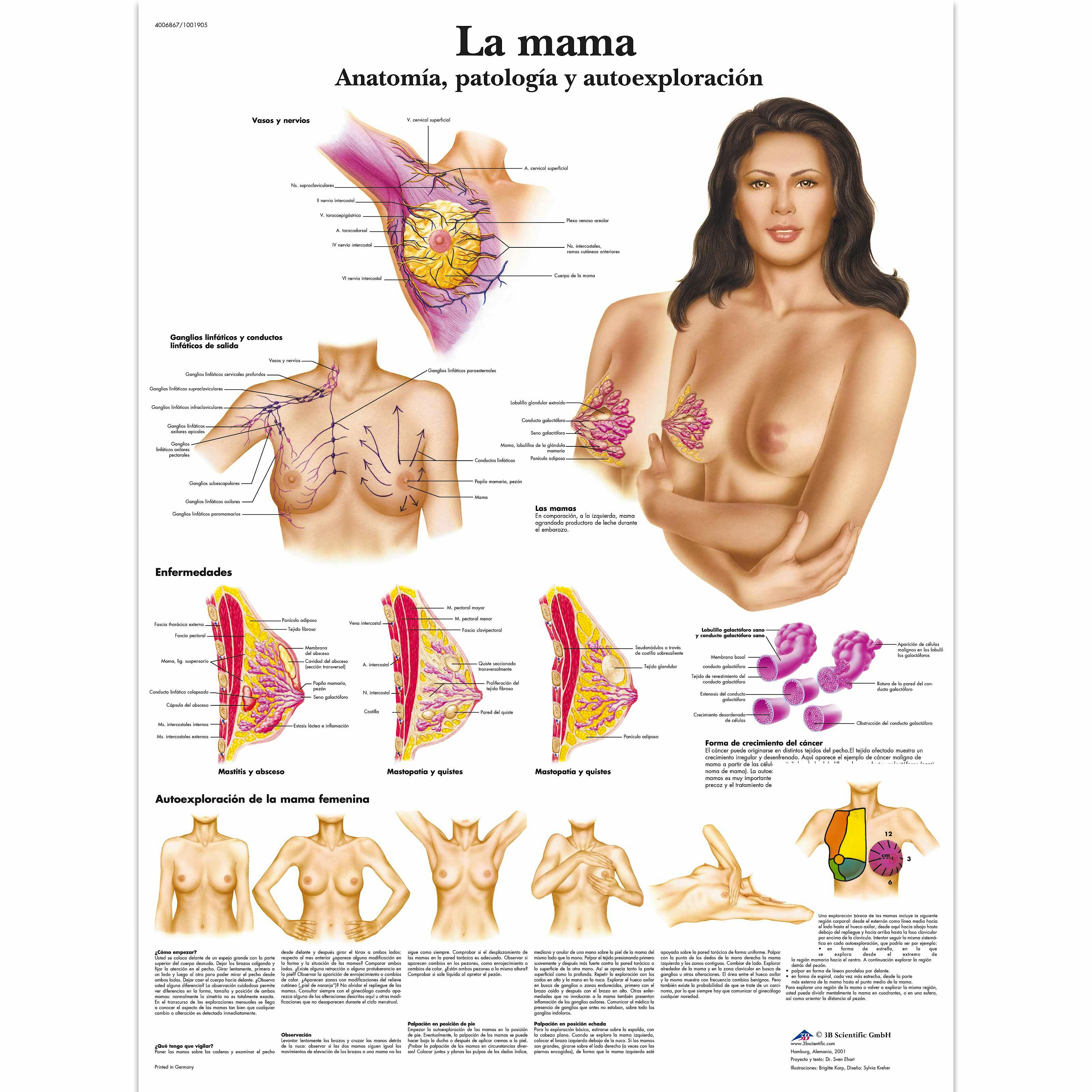 Lamina la Mama (formato 50 x 67 cm)