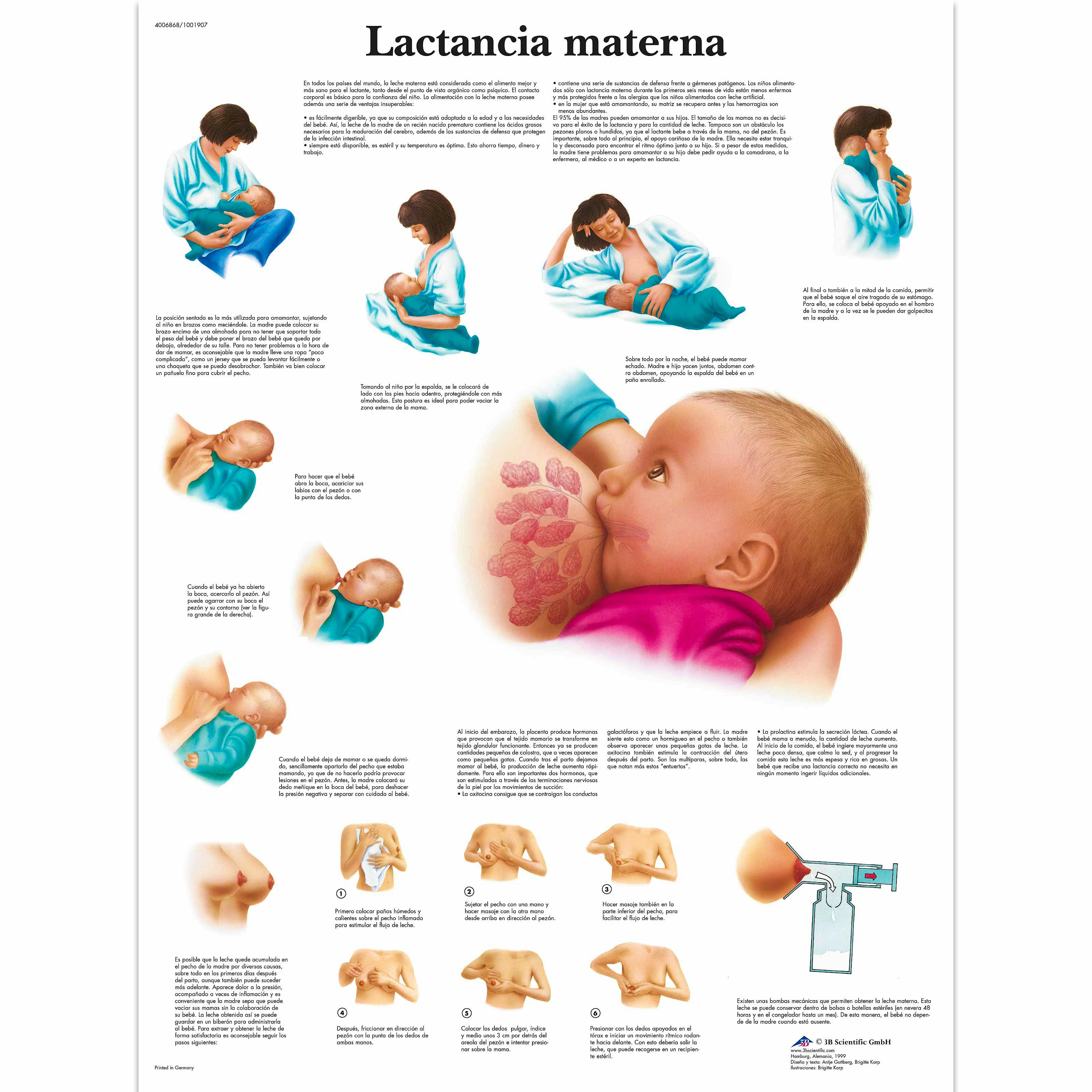 Lámina la Lactancia Materna (formato 50 x 67 cm)