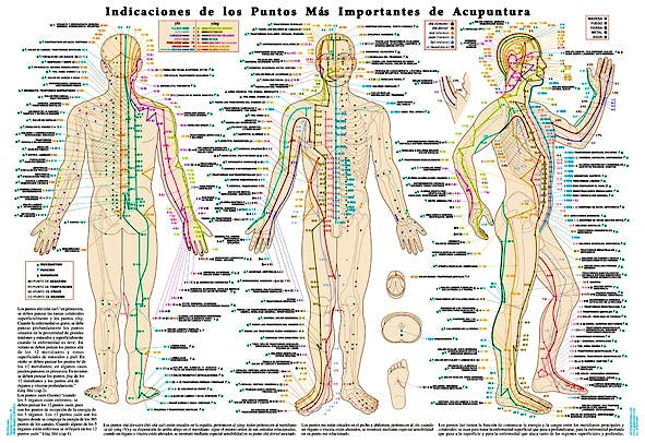 Lámina Indicaciones de los Puntos más Importantes de Acupuntura, 35 X 50 cm., Plastificada Brillo
