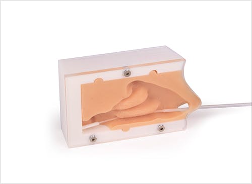 COVID Test Entrenador de Prueba, Entrenador de Espiral Nasal Básico