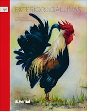 Portada del libro 9788409107544 Exterior de las Gallinas
