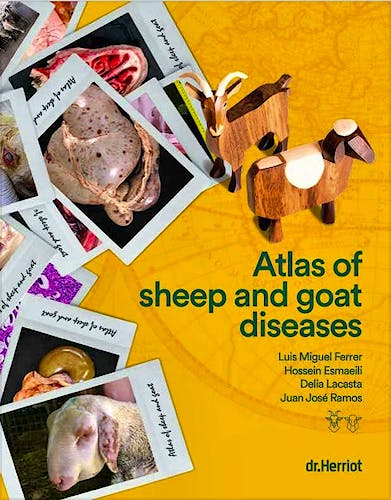 Portada del libro 9788409378944 Atlas of Sheep and Goat Diseases
