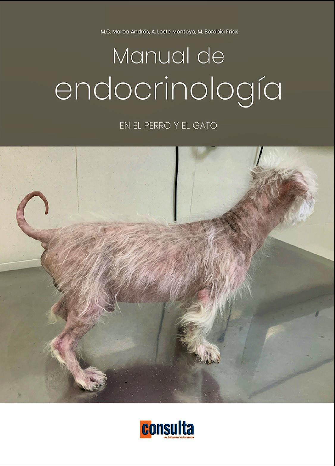 Portada del libro 9788412520743 Manual de Endocrinología en el Perro y el Gato