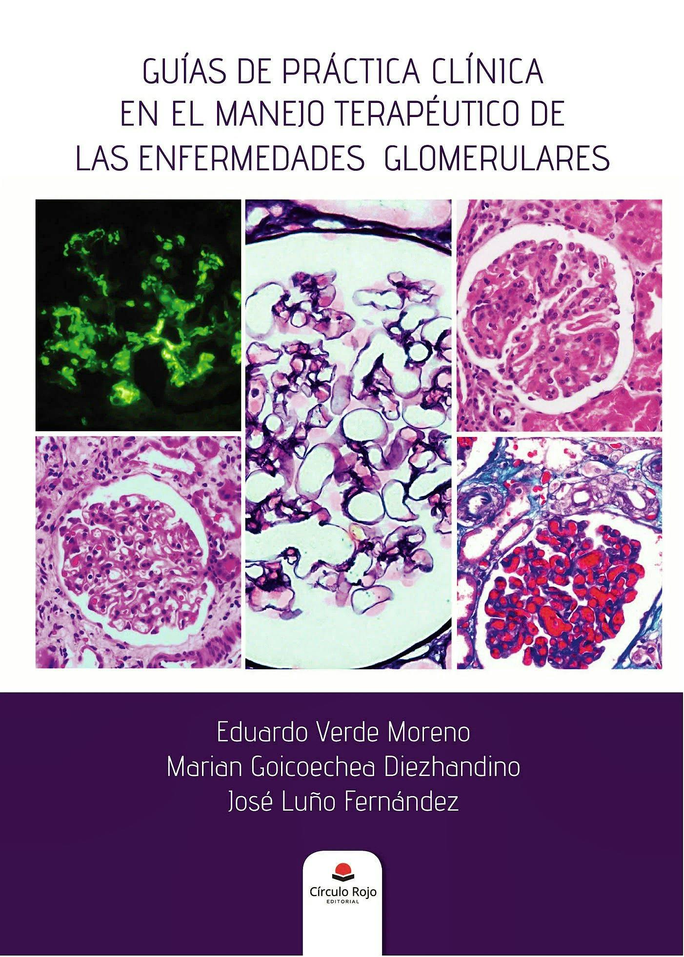 Portada del libro 9788413170824 Guías de Práctica Clínica en el Manejo Terapéutico de las Enfermedades Glomerulares