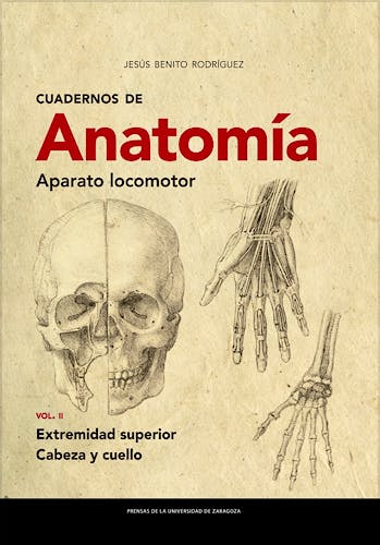 Portada del libro 9788413401867 Cuadernos de Anatomía. Aparato Locomotor, Vol. II: Extremidad Superior. Cabeza y Cuello