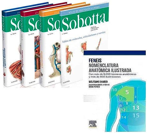 Portada del libro 9788413821375 Lote Sobotta Atlas de Anatomía Humana, 3 Vols. + Feneis Nomenclatura Anatómica Ilustrada