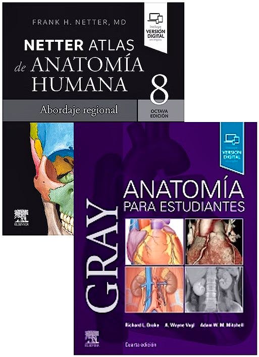 Lote GRAY Anatomía Para Estudiantes + NETTER Atlas De Anatomía Humana ...