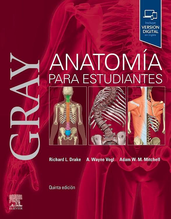 GRAY Anatomía para Estudiantes