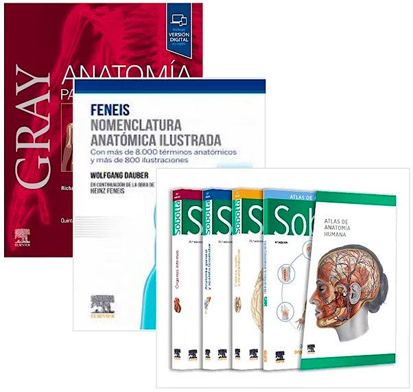 Lote Pack GRAY Anatomía Para Estudiantes + FENEIS Nomenclatura ...