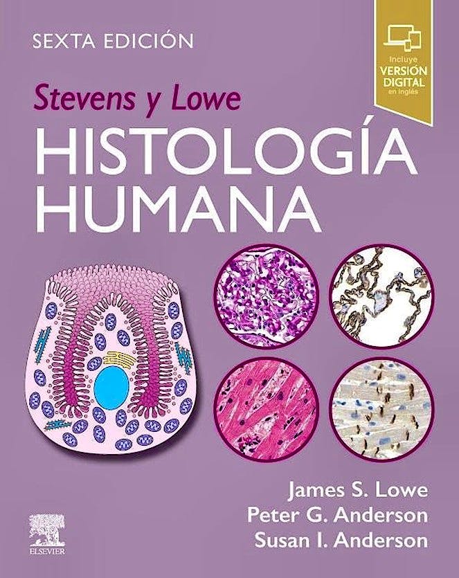 STEVENS y LOWE Histología Humana