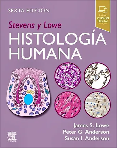 STEVENS y LOWE Histología Humana