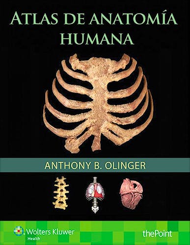 Portada del libro 9788416353774 Atlas de Anatomía Humana