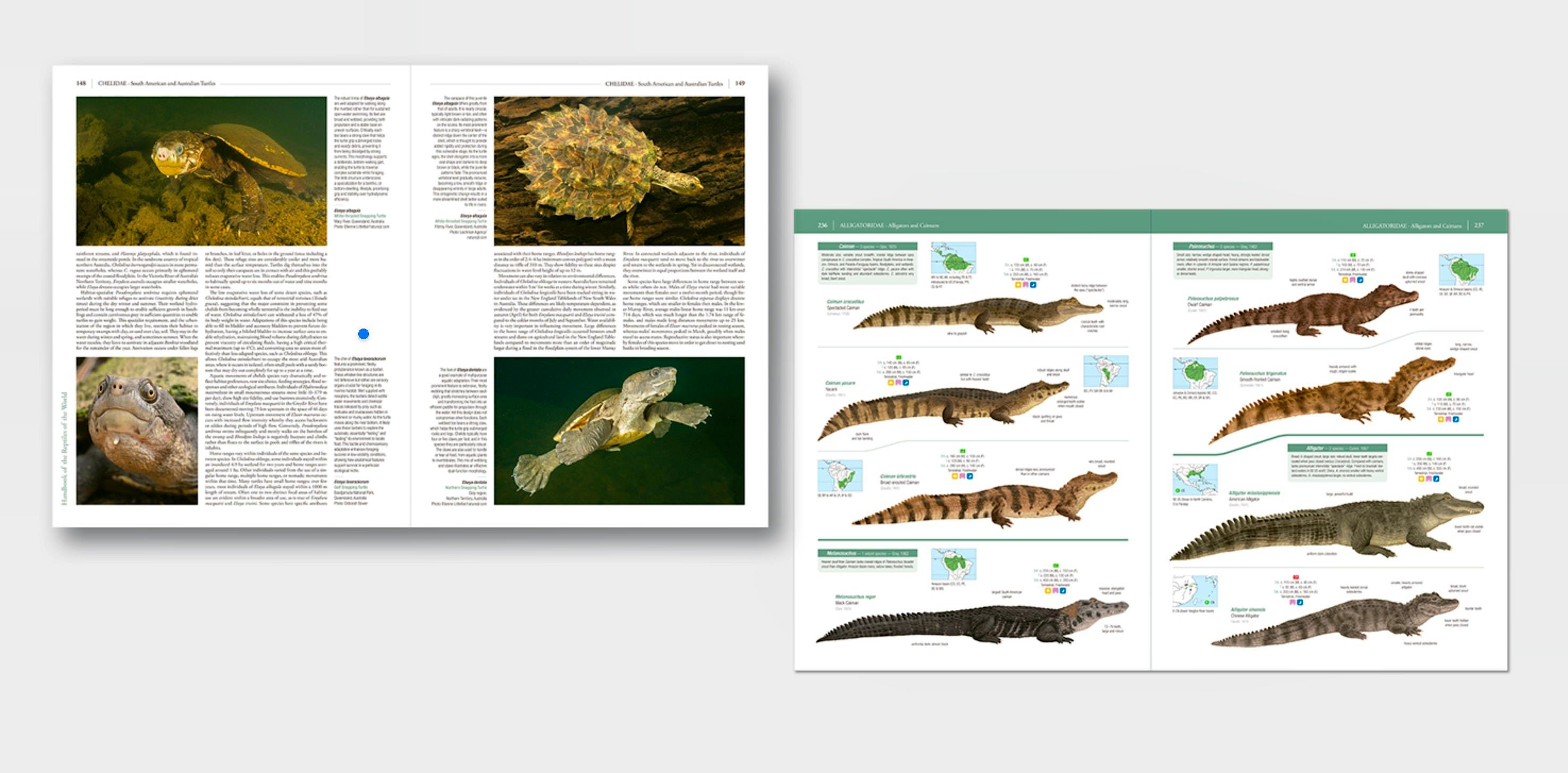 Portada del libro 9788416728817 Handbook of the Reptiles of the World. Turtles and Crocodiles