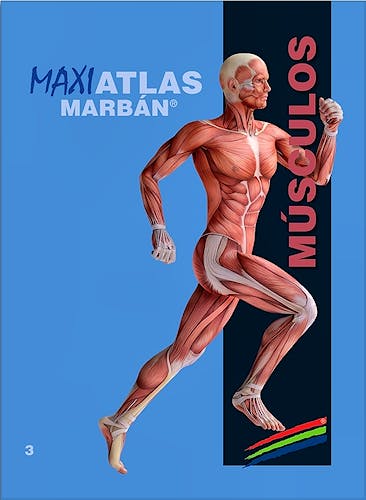 Portada del libro 9788417184070 Maxi Atlas, Vol. 3: Músculos