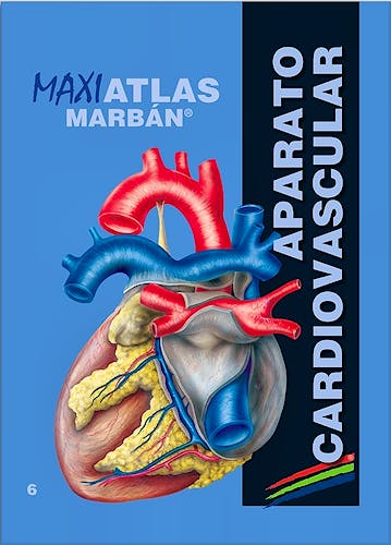 Portada del libro 9788417184100 Maxi Atlas, Vol. 6: Aparato Cardiovascular